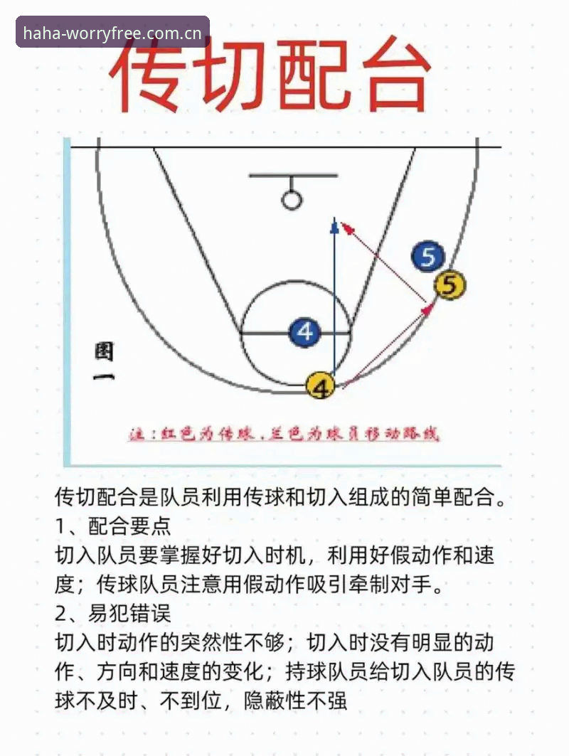 哈哈体育2025版使用技巧深度解析：从入门到精通的实战指南